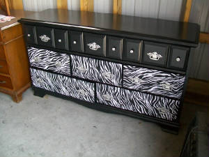 zebradresser071311a.jpg